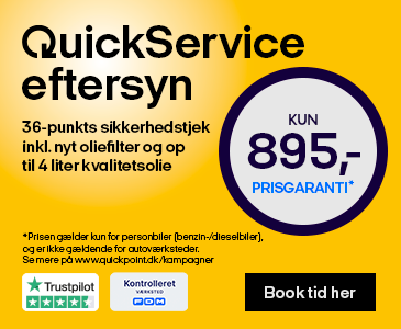 Serviceeftersyn